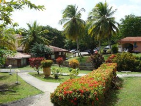 Palm'Studio Anse de Caritan